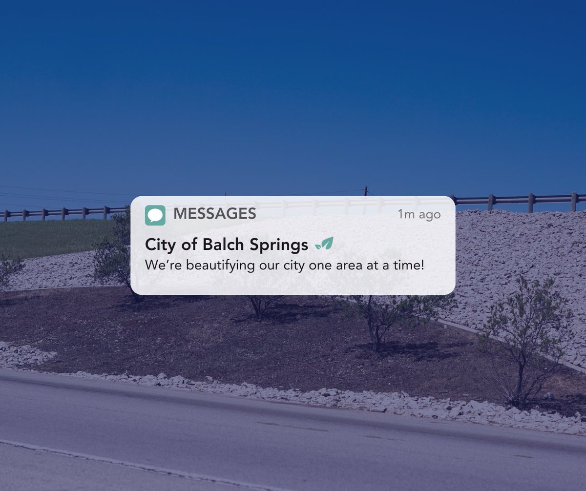 Balch Springs, TX tweet media