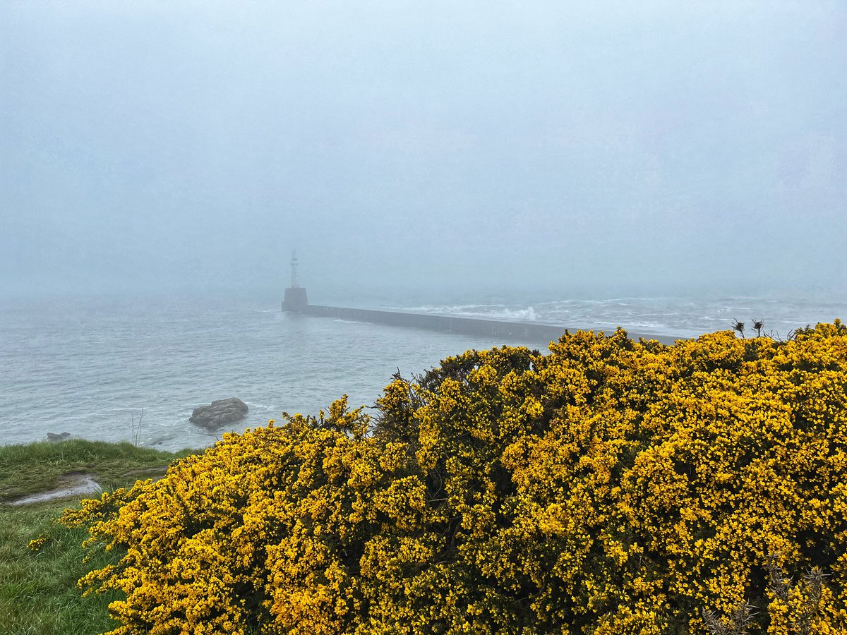 Gie dreich out here in #Aberdeen tonight 🚶🏻‍♀️ 🌊 ❤️