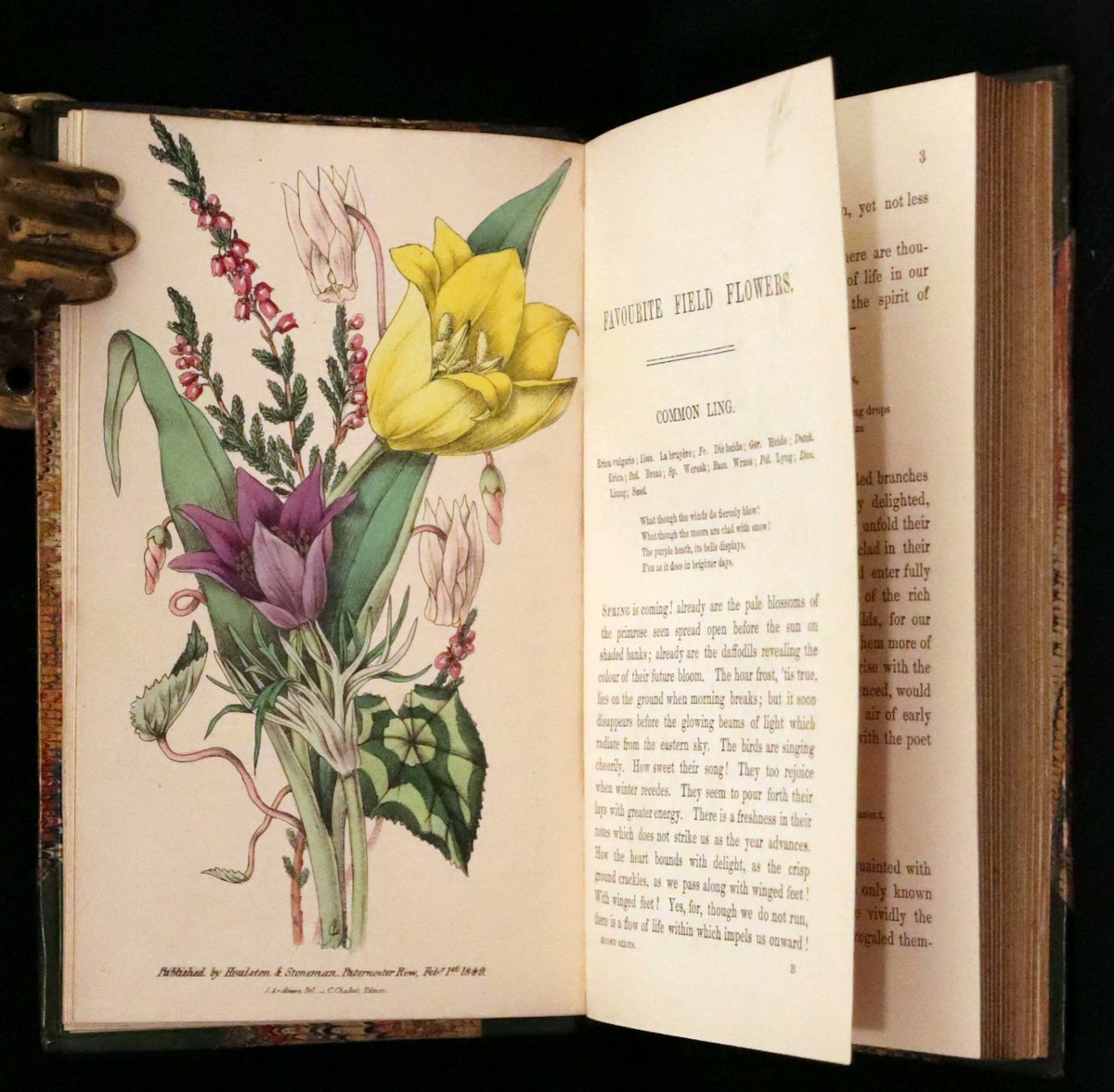 Explore the natural beauty of England with the 1848 first edition set of 'Favourite Field Flowers' by Robert Tyas.mflibra.com/products/1848-…
This rare collection celebrates the vibrant wildflowers of England, captured in exquisite detail.
#BookWithASoul #MFLIBRA #OwnAPieceOfHistory