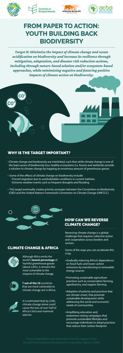 ℹ️ Learn about Target 8 in the #BiodiversityPlan addressing #ClimateChange crisis.

🌍 Discover its significance and ways to reverse #ClimateChange in Africa with this infographic. 

#BuildBackBiodiversity 🌿

Via @‌CsosAfrican