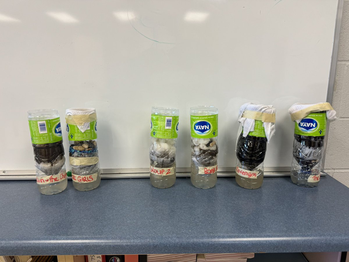 MsNaccarato6's tweet photo. Grade 8 Filtration Experiment - Mr. Trace and Ms Naccarato’s class did a fantastic job #scientistsintheclassroom @SMCDSB_MRO https://t.co/iqr3zUWKNb