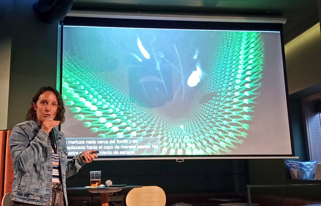 'Las merluzas siempre dejan pasar el tren' @elsacdf en #PINT24BIO #PINT24ES @sciencebilbao ha explicado lo que hacemos en @azti_brta para ayudar a las merluzas a coger el tren mejorando la selectividad