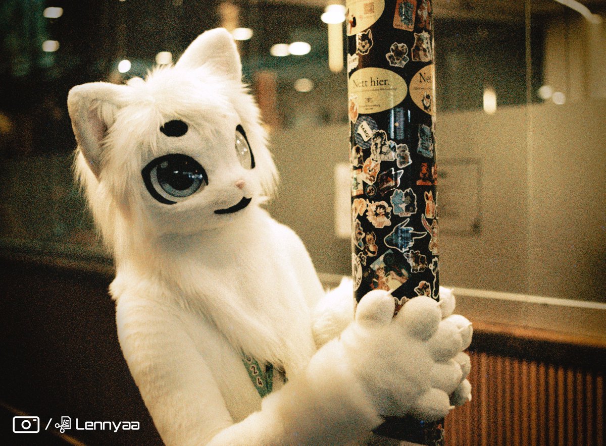 🎞️Is this mine now? #nfc2024 #kemono