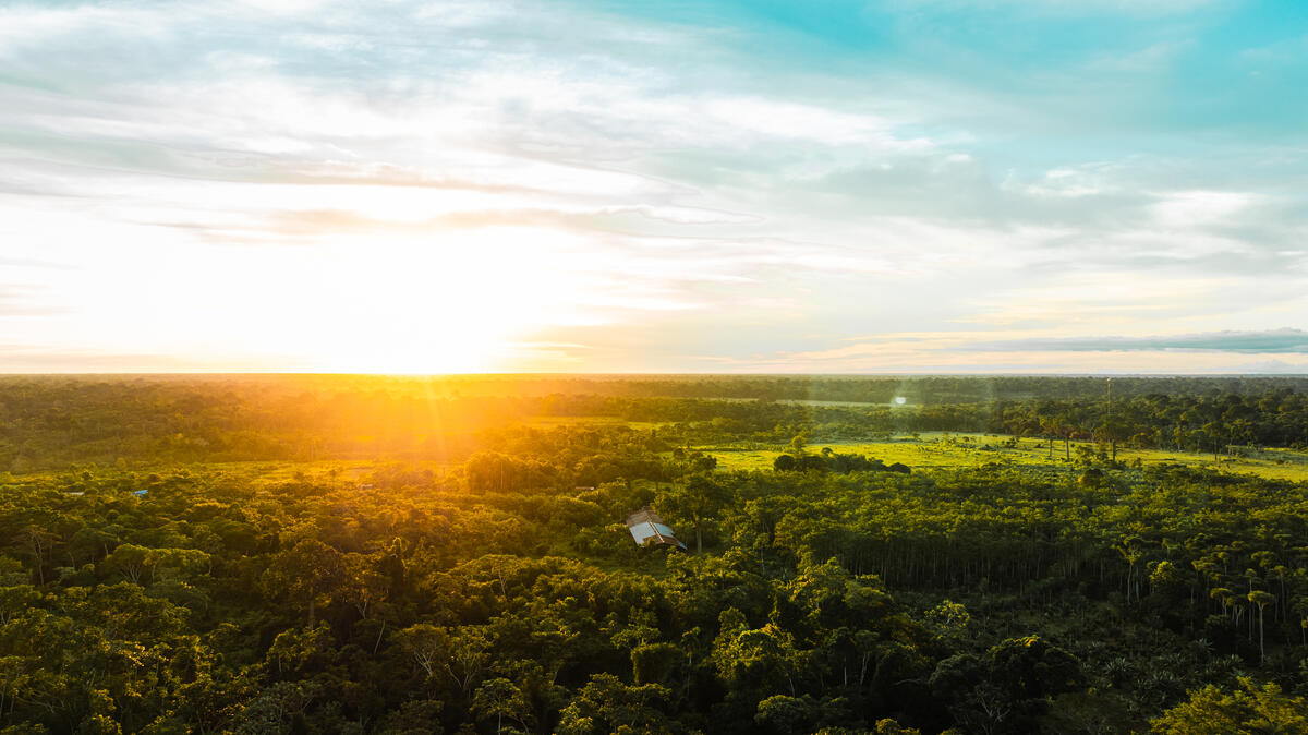 As interest in #NbS rises, it's crucial for everyone involved, from funders to #conservation practitioners, to address the risks of #corruption and ensure that these activities benefit the people who live, work, and depend on #nature. Learn more: worldwildlife.org/pages/tnrc-blo…