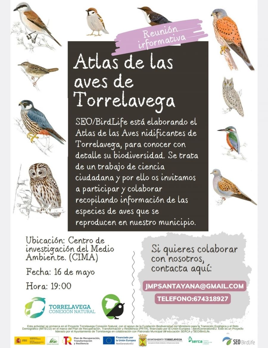 🐦Recordad que este jueves 16, a las 19h en el CIMA, hay una reunión informativa sobre el ATLAS DE LAS AVES DE #TORRELAVEGA que está elaborando @SEO_BirdLife  
#TorrelavegaConexiónNatural @FBiodiversidad @mitecogob #NextGenerationEU @SercaTorre  #Torrelaveganízate #FondosEuropeos