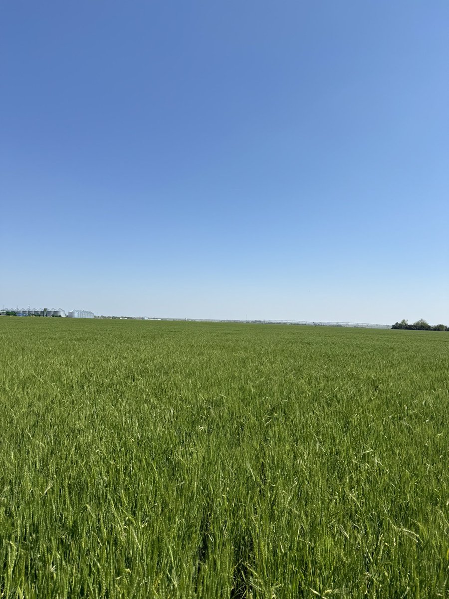 Mason Everett 🌵 tweet media