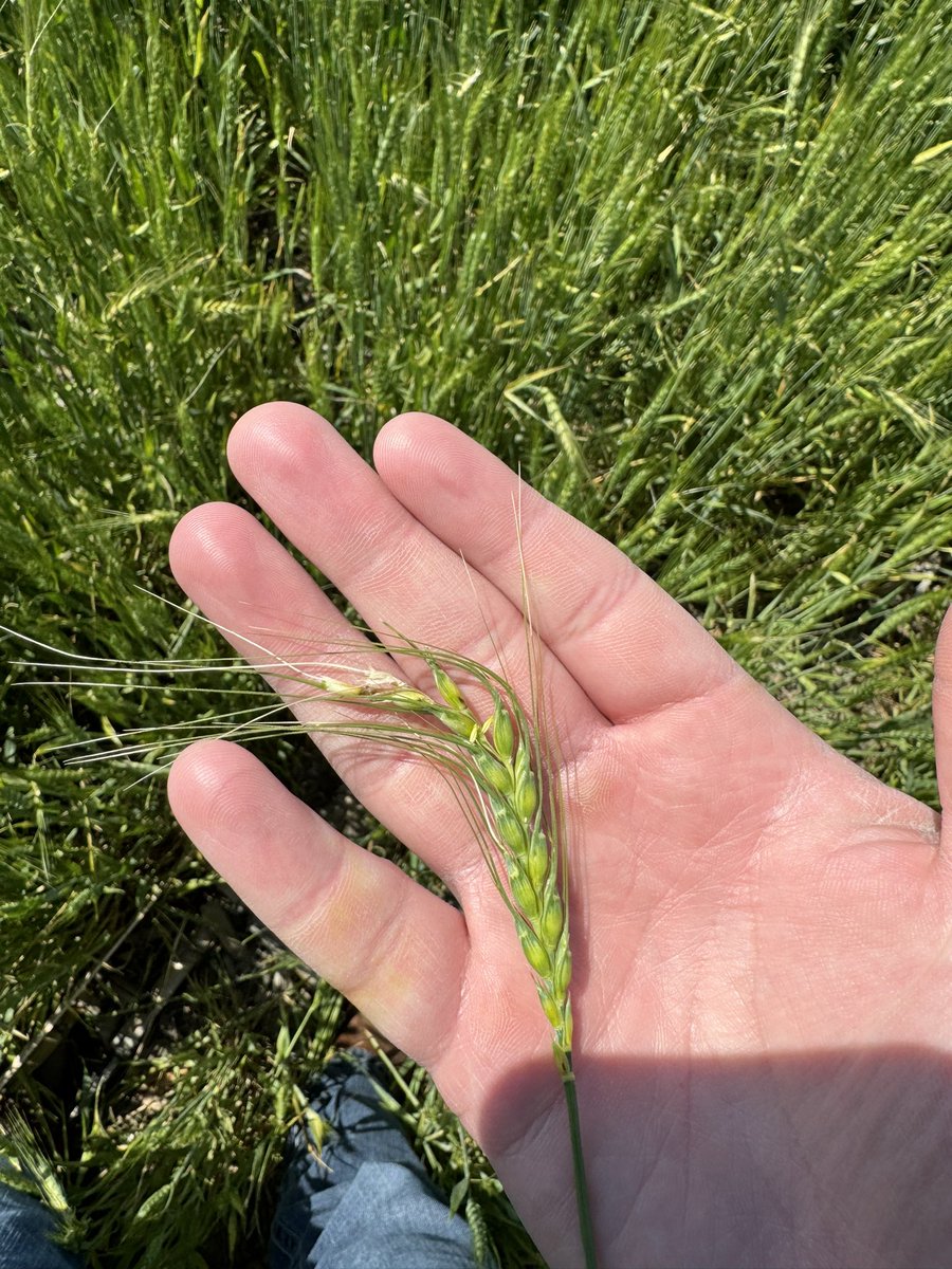 Mason Everett 🌵 tweet media