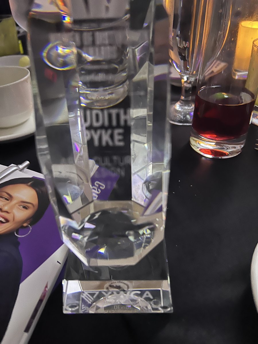 JudithPyke's tweet image. Well this was a surprise! What a night - I was so impressed by all the nominees!!  And very thankful to those personal and professional angels whose wings helped lift me up to the stage (recently and over the years). You know who you are 😘 Thank you @YWCAVAN  for the honour!!!