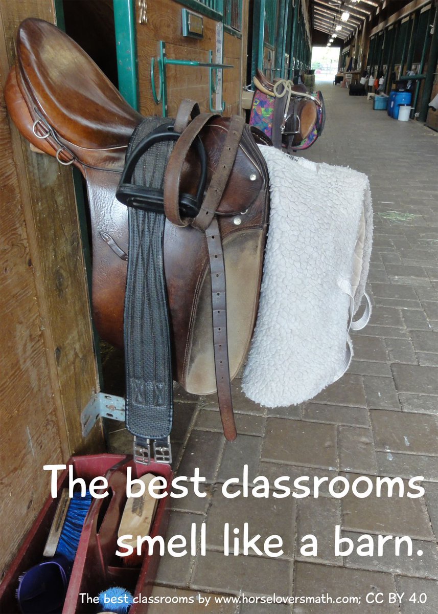 Math is everywhere. Horse Lover's Math makes the connection between a child's interest in #horses and the math inherent in the horse world, the motivation to learn is built in! buff.ly/3OuYCn9 #horselover #selfdirectedlearning #Connectedlearning #iteachmath #elemmathchat