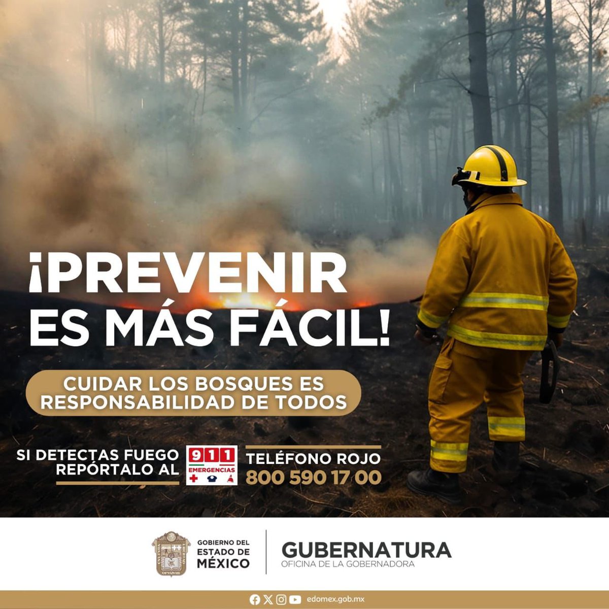 delfinagomeza's tweet image. Evitemos #IncendiosForestales y cuidemos de nuestros bosques protegiendo la flora y la fauna 🌳
#PrevenirEsMejorQueCombatir #Edomex