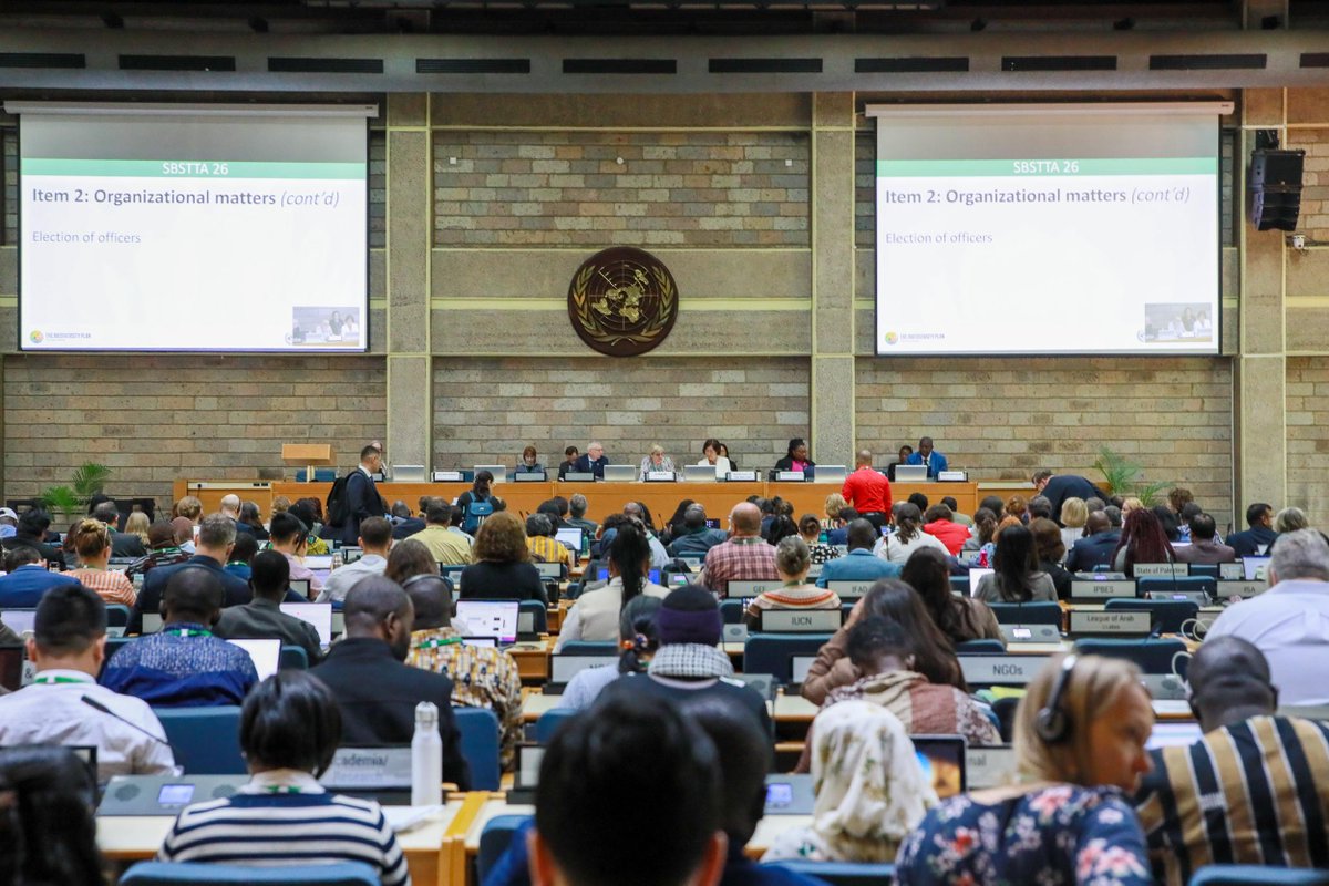 UNBiodiversity's tweet image. On Day 2 of the Nairobi Meetings #SBSTTA26, we had fruitful discussions on:

🧬Detection and identification of #LMOs
🌊Marine + coastal biodiversity
🌱Biodiversity + health

✅Stay up to date with @IISD_ENB&apos;s daily report: enb.iisd.org/cbd-subsidiary…

📸: Mike Muzarakis/@IISD_ENB