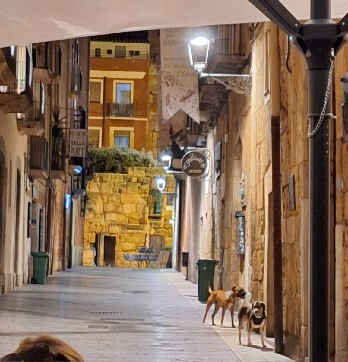 Els okupes que estan al local de sota de l'antiga seu dels Xiquets de #Tarragona amb dos gossos perillosos corrent carrer amunt i carrer avall. Tot correcte.
Compte no mosseguin algun creuerista...