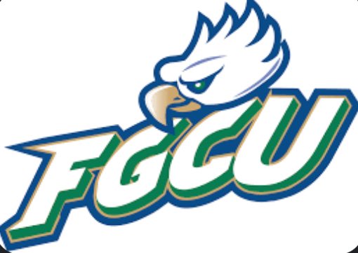 Beyond blessed to have received a D1 offer from Florida Gulf Coast University! #AGTG