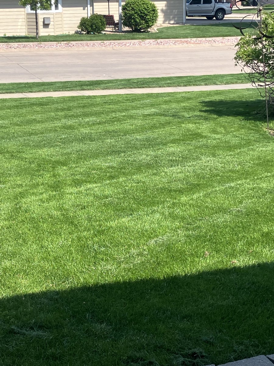 I love Spring mowing!!