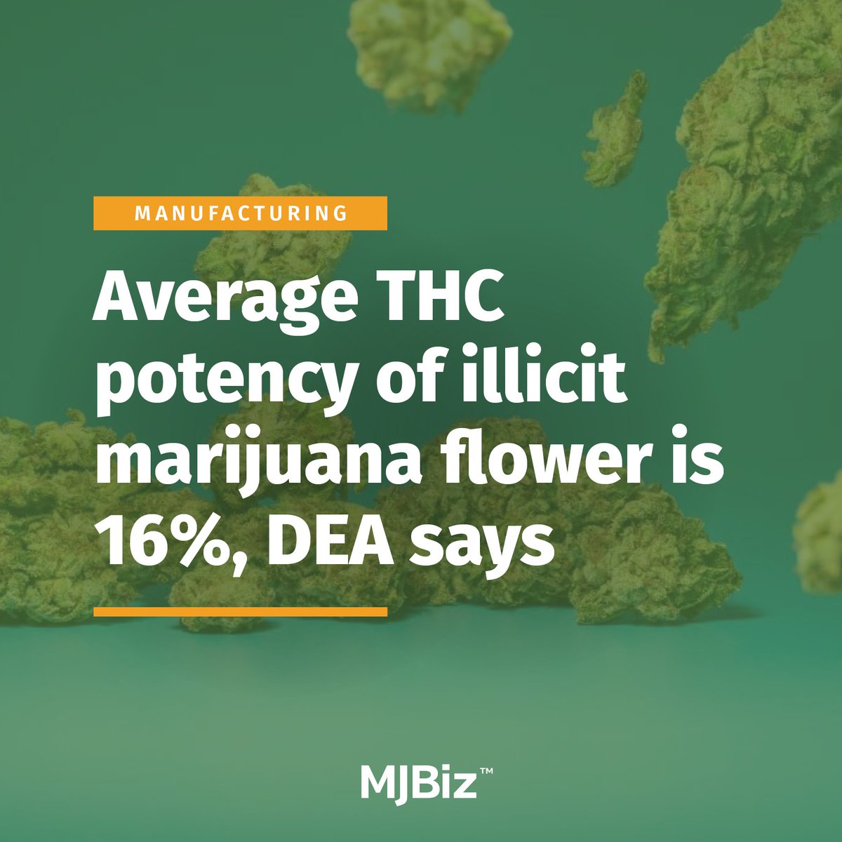 The average THC potency of illicit marijuana flower in the United States is 16%, according to the U.S. Drug Enforcement Administration. That’s well below the THC levels seen in commercial #marijuana stores, where accusations of THC potency inflation have been circulating for