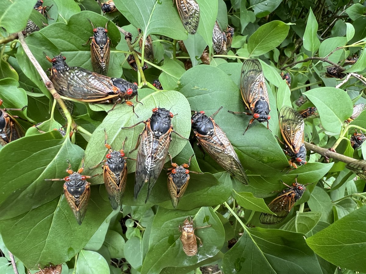 Pam Smith tweet media