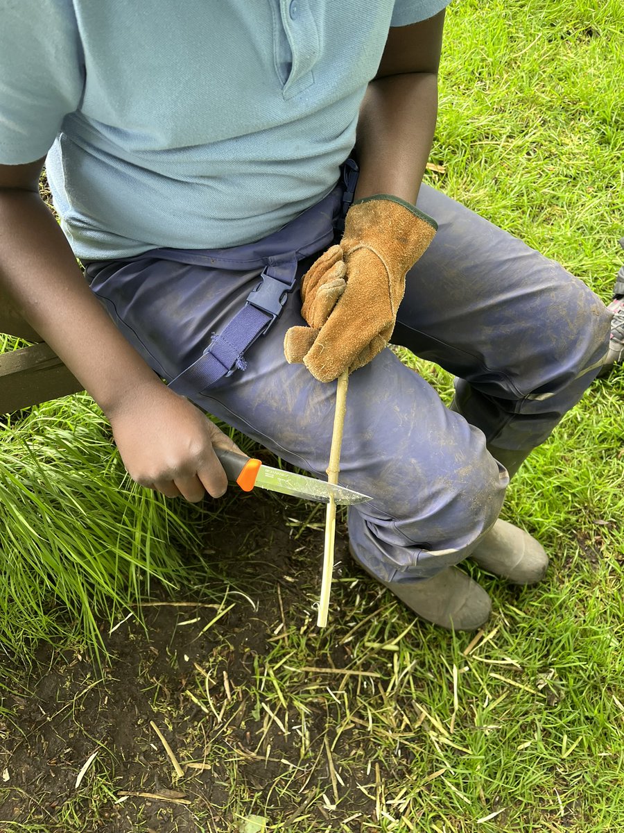 Forest School ACE tweet media