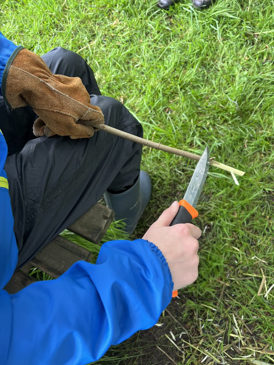 Forest School ACE tweet media