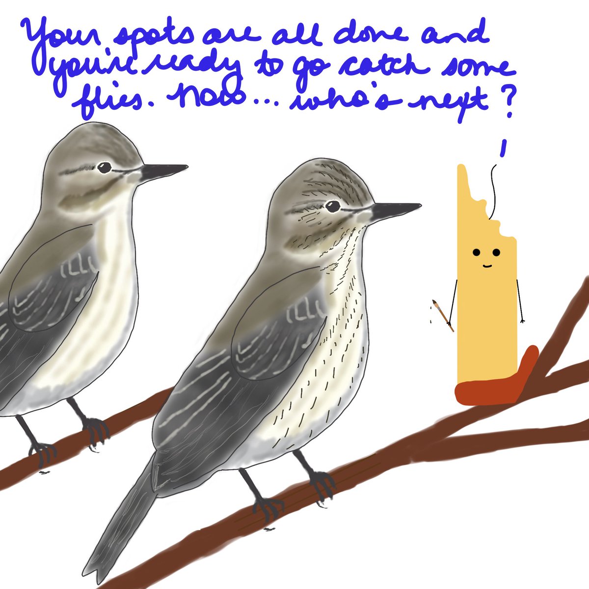 #doodlewax **spotted** a spotted flycatcher by the canal this evening (see what I did there??)