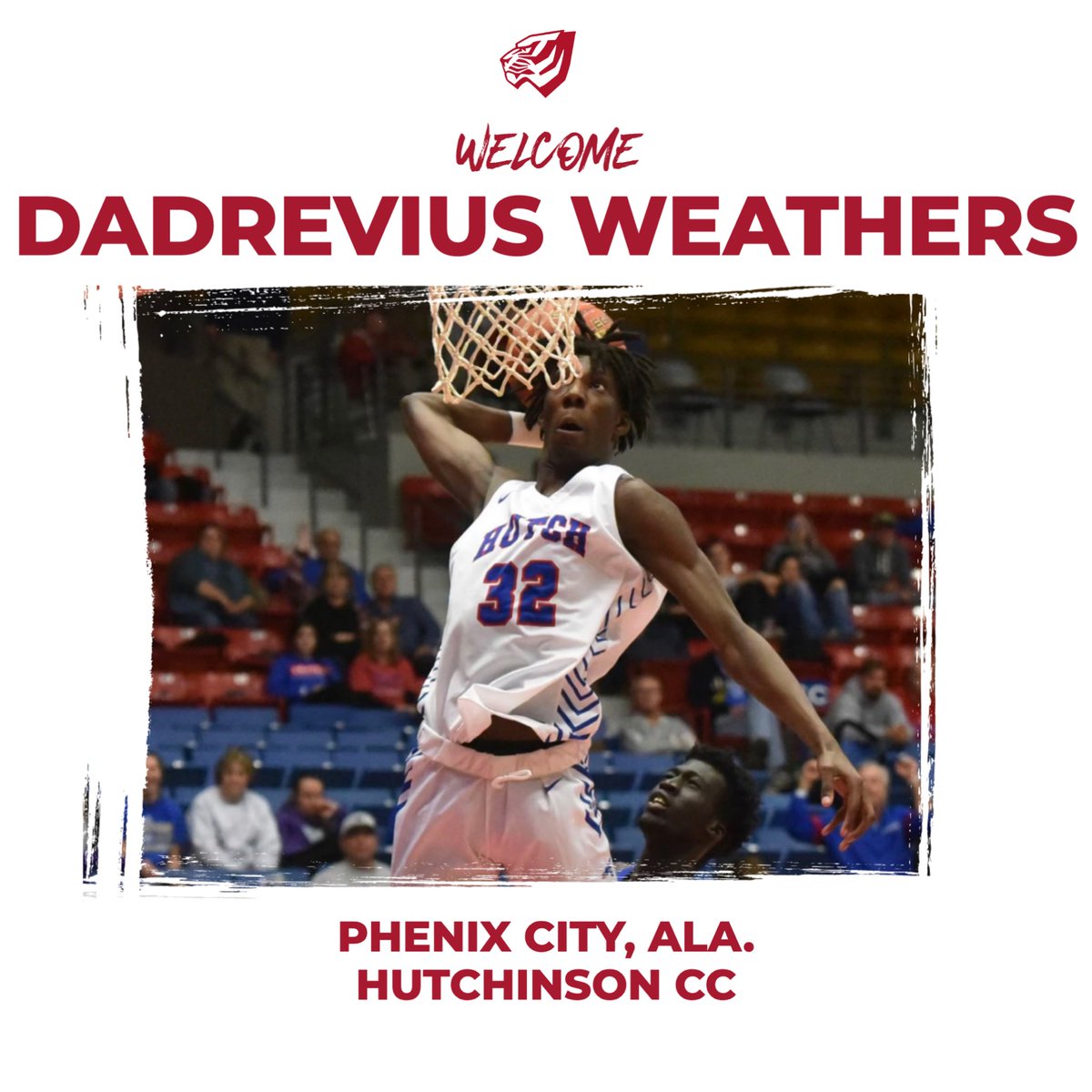 UWA_basketball's tweet image. 🚨 Tiger Fans join us in welcoming Dadrevius Weathers to UWA. Sure to be tearing down some rims near you🏀 🚨