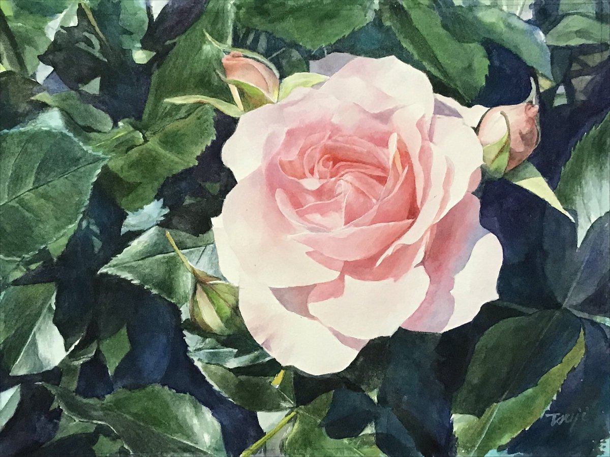 eYVZi172XQDkvs7's tweet photo. #art #watercolor #透明水彩 #花のある風景 
Ｆ4   透明水彩 https://t.co/Jr4mRtnPh6