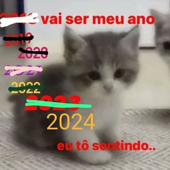 perfil dedicado a gatinhos e peitos (@odeiootaco) on Twitter photo 2024-05-14 21:07:02