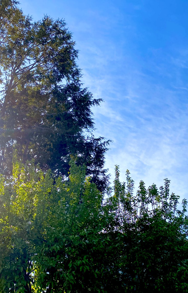 Outside is good. Go outside.