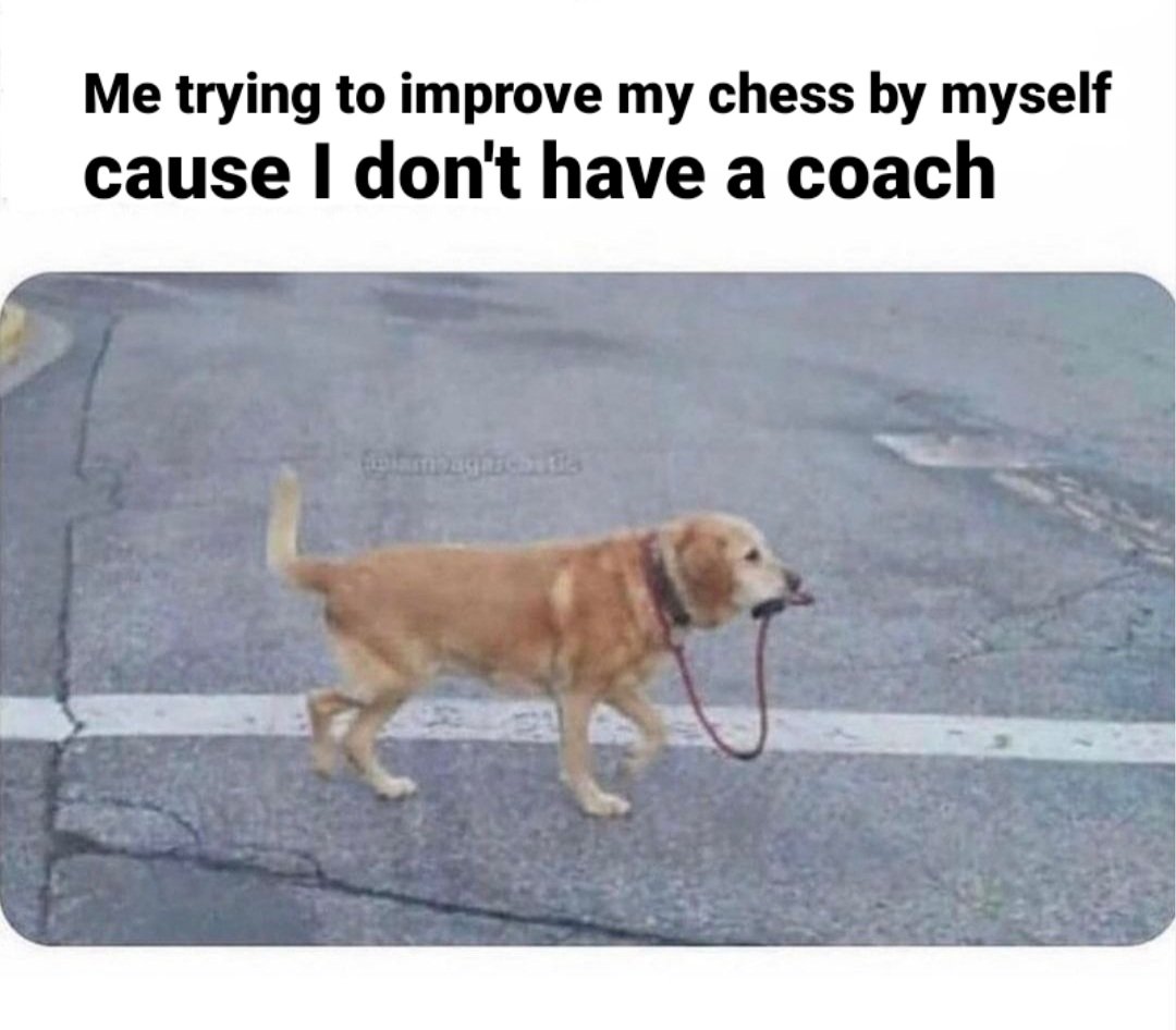 #chess