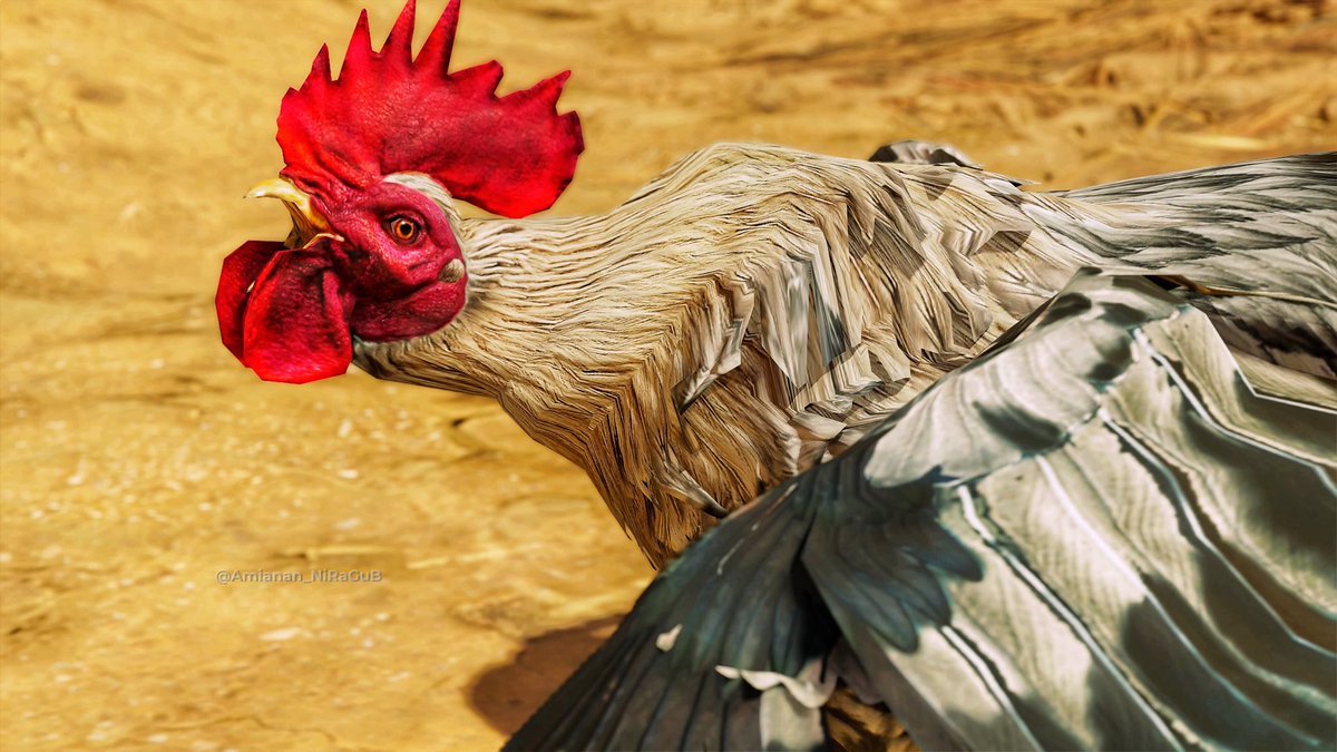 When you live in the 🇵🇭 province, the rooster is your alarm clock. 😂

#AssassinsCreedMirage #AssassinsCreed #ACFinest #PS5Share

@assassinscreed @UbisoftMTL @Ubisoft

#VirtualPhotography #VGPUnite #ArtisticofSociety #LandofVP #ThePhotoMode #VPRT #VPCONTEXT