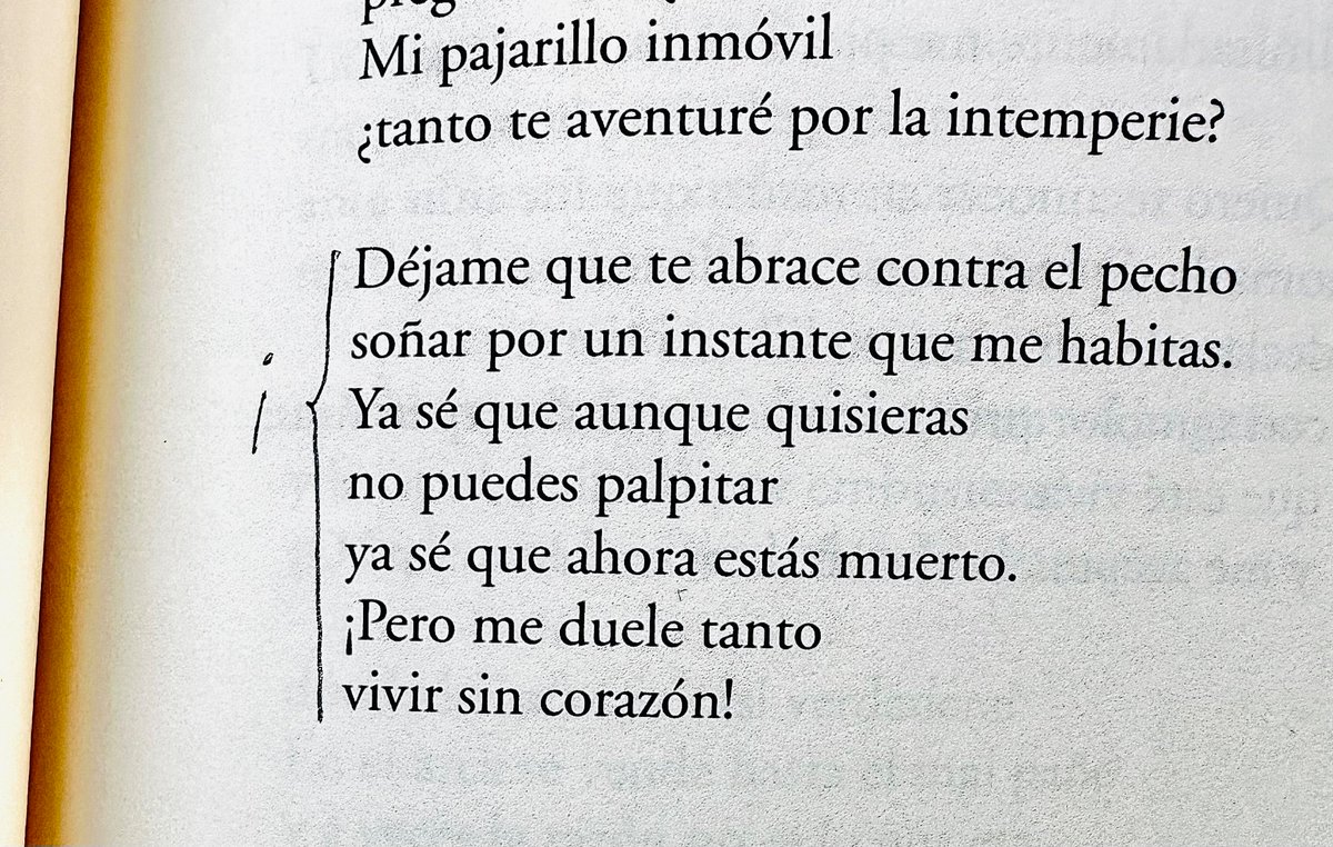 «Mi pajarillo inmóvil ¿tanto te aventuré por la intemperie?» - Raquel Lanseros «El sol y las otras estrellas»