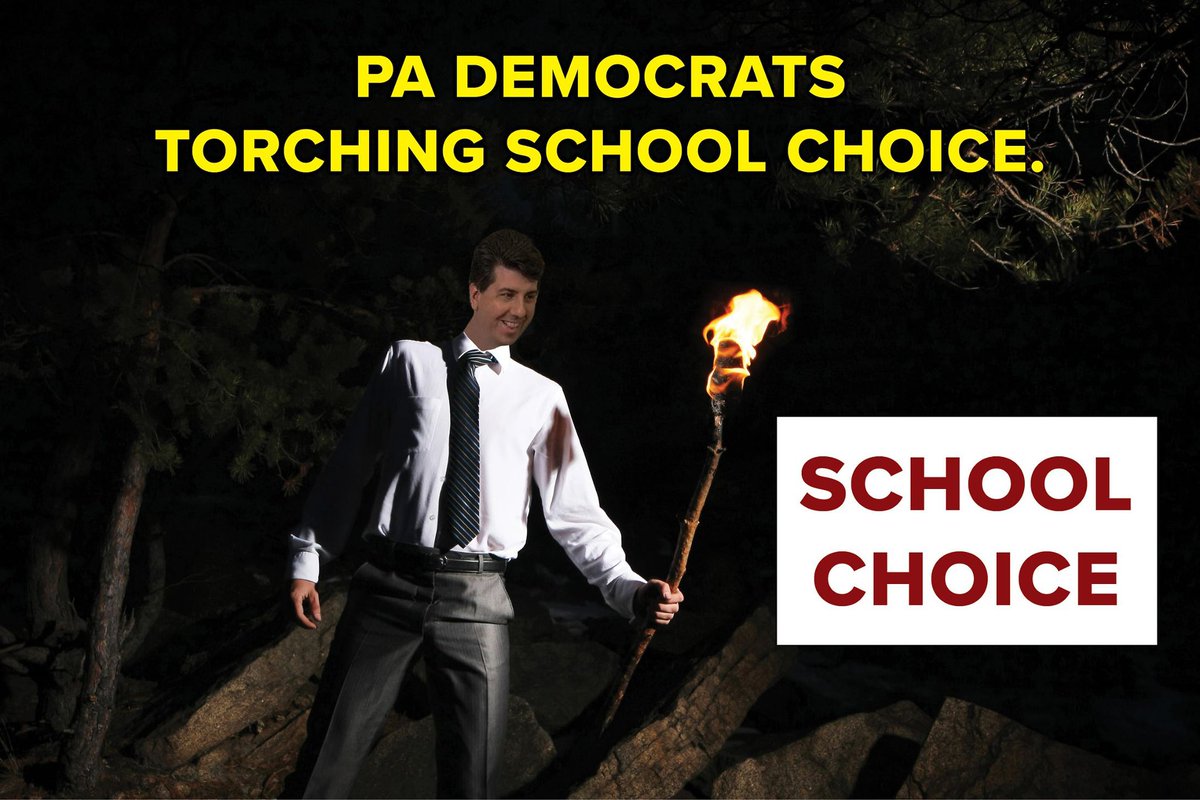 .@RepCiresi, @RepProbst, and @PaHouseDems are leading the charge with anti-family and anti-student orgs - @PSBA, @PSEA, @AFTPA, @EdVotersPA, @pacharterchange, and @pa_charter - to torch #schoolchoice for 60,000 public school students. Tell @PASenateGOP to #protectcyberstudents.