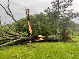 A few damage pictures from Ethridge in Lawrence Co. Pics: Shelton Barnett, Lawrenceburg / Lawrence County EMA @FOXNashville #tspotter