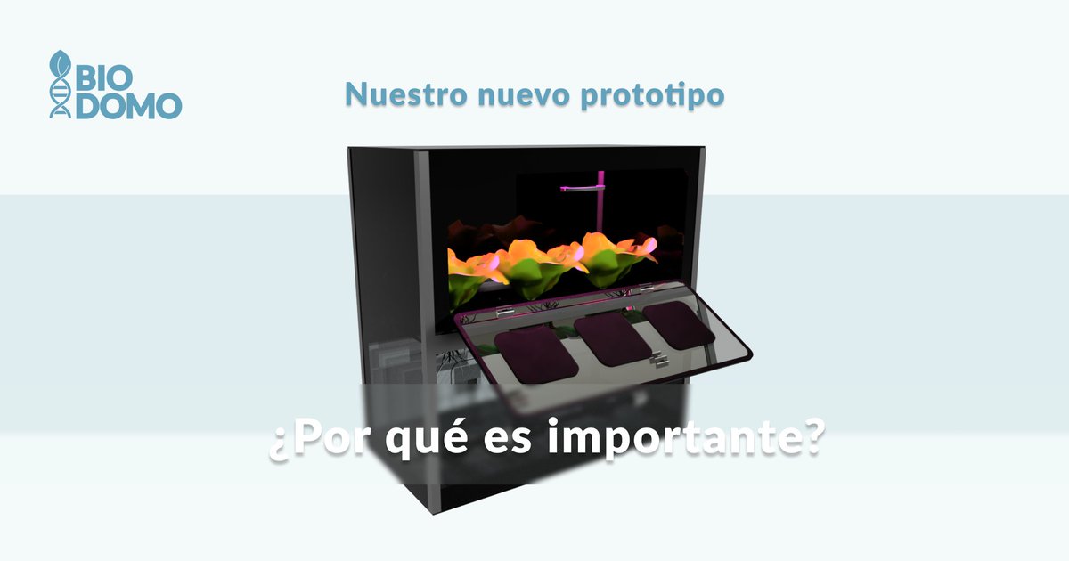 Biodomo Project tweet media