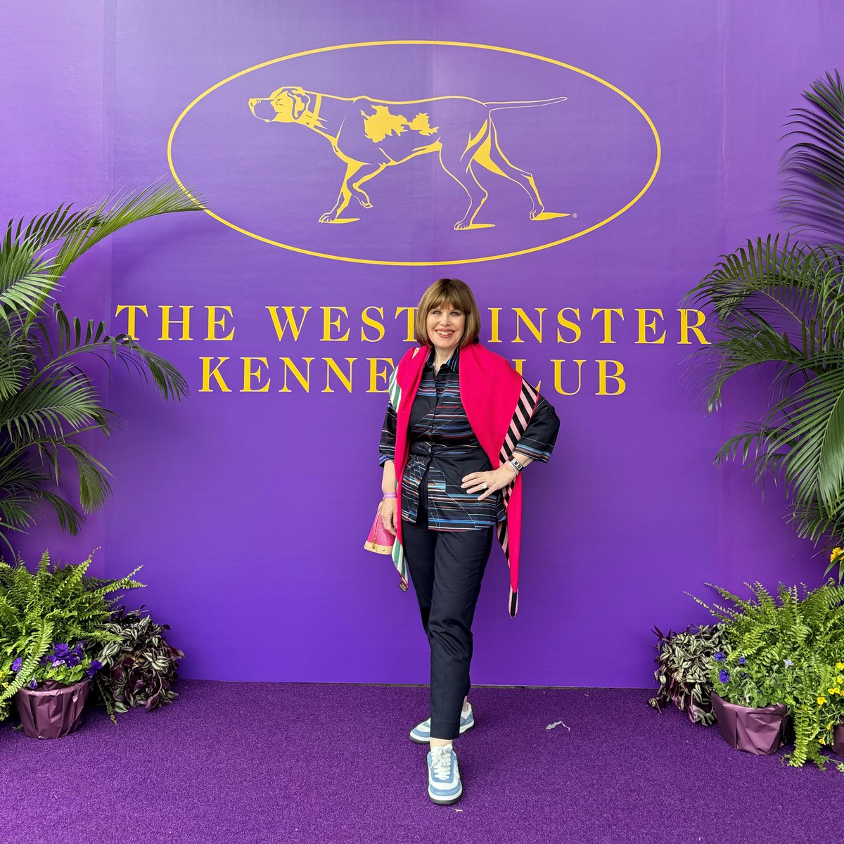What an extraordinary day at the 2024 @WKCDOGS Dog Show in New York City! Yesterday overflowed with excitement as all three dogs showcased their absolute best! I could not be more proud. #westminsterdogshow #TheAHALife