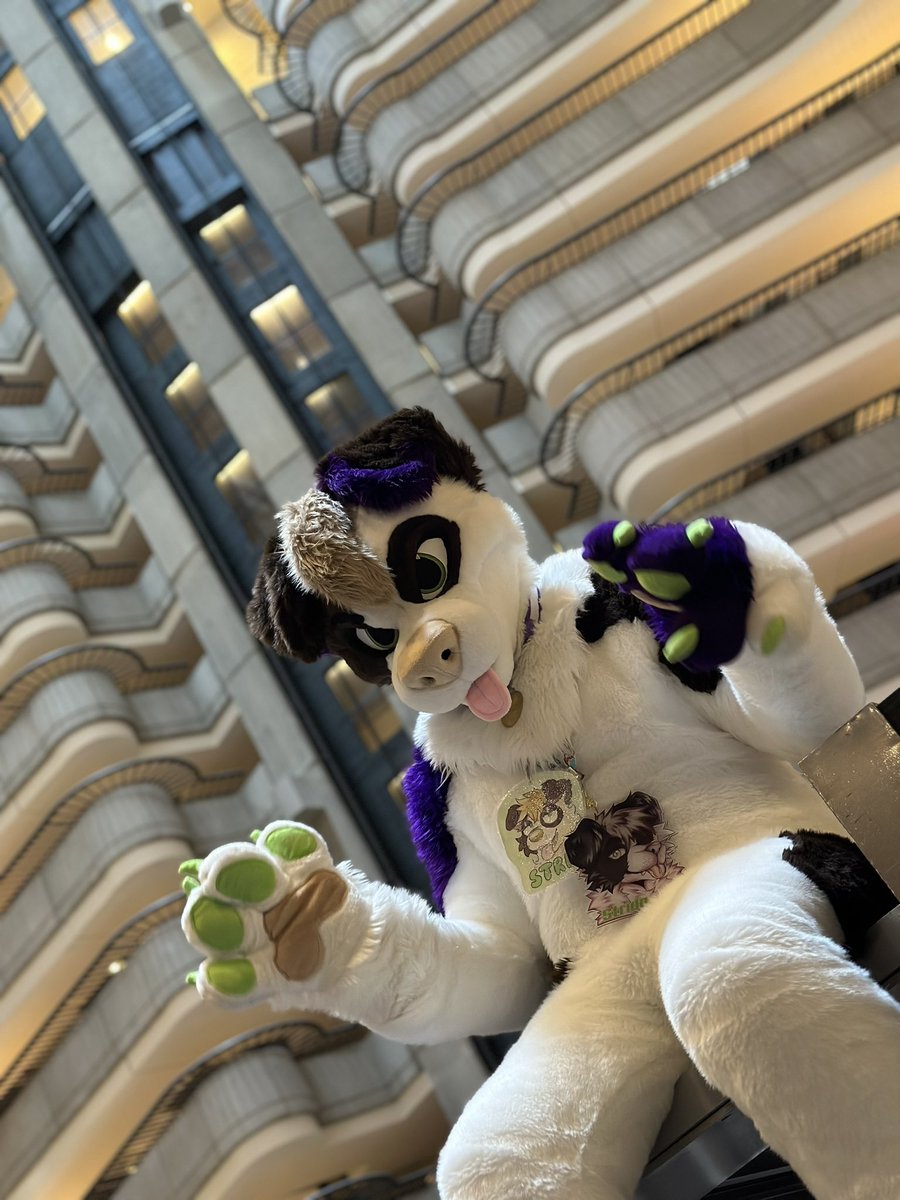 What an amazing time I had at FWA, thanks to all the fun memories. Definitely won’t forget it ❤️👏