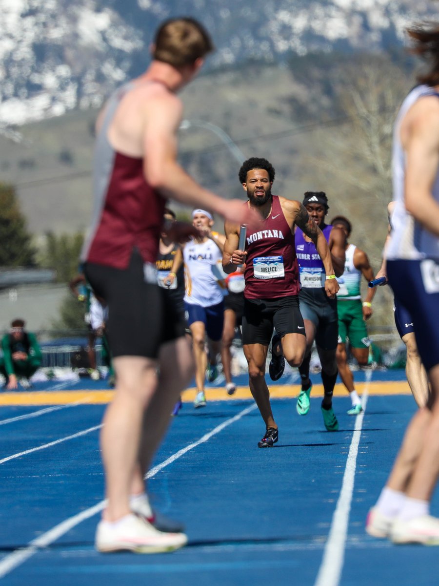 Montana Griz TF & XC tweet media