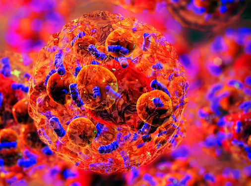 New content online: The role of brown adipose tissue in metabolic health dlvr.it/T6tXdl