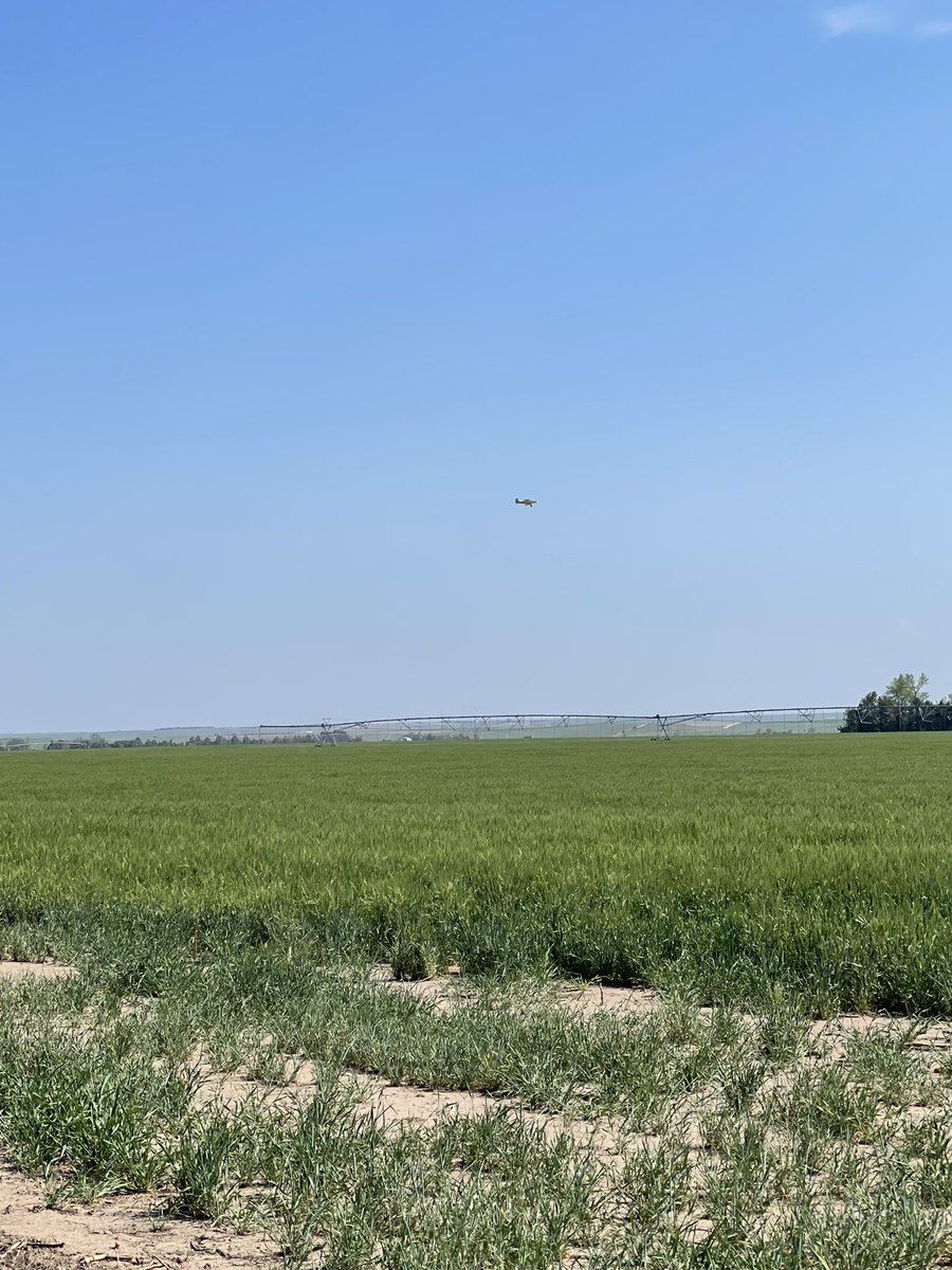 Alicia Ray tweet media