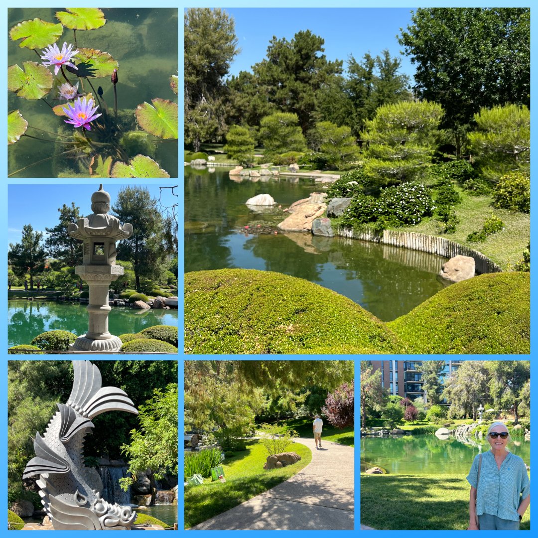 Breathe, relax, contemplate. A place of beauty and serenity in downtown Phoenix — the Japanese Friendship Garden created by the sister cities of Phoenix and Himeji, Japan. Stroll along the paths of the 3.5 acre garden and enjoy the scenery. #ifwtwa #traveltuesday #myphx #arizona