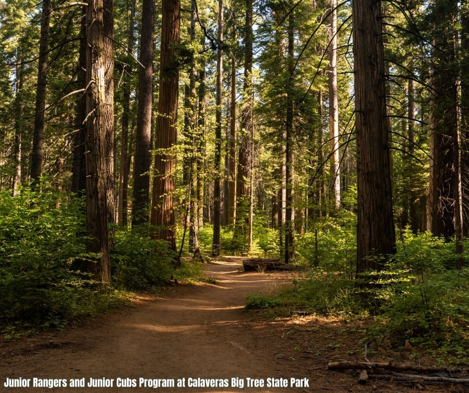 Join us for California State Parks Week, June 12-16! 🌊 June 14: Support Climate Resilience. California's diverse landscapes are crucial in fighting climate change. Let's protect and support them together. Learn more and get involved, visit: castateparksweek.org