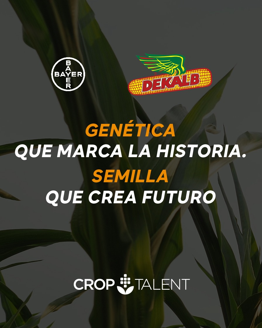 Genética que marca la historia
 👉 Semilla que crea futuro 
Si es maíz, es <a href="/DekalbArgentina/">DEKALB Argentina</a>