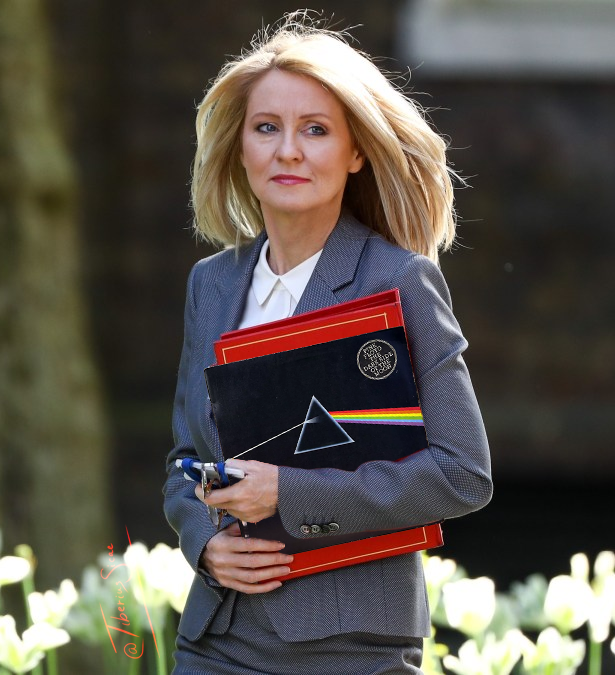 Minister for Common Sense, Esther McVey, caught sneaking Dark Side of the Moon into #10 https://t.co<a href="/tag/fbf"class="tags"><span>#fbf</span></a><a href="/tag/followbackfriday"class="tags"><span>#followbackfriday</span></a>