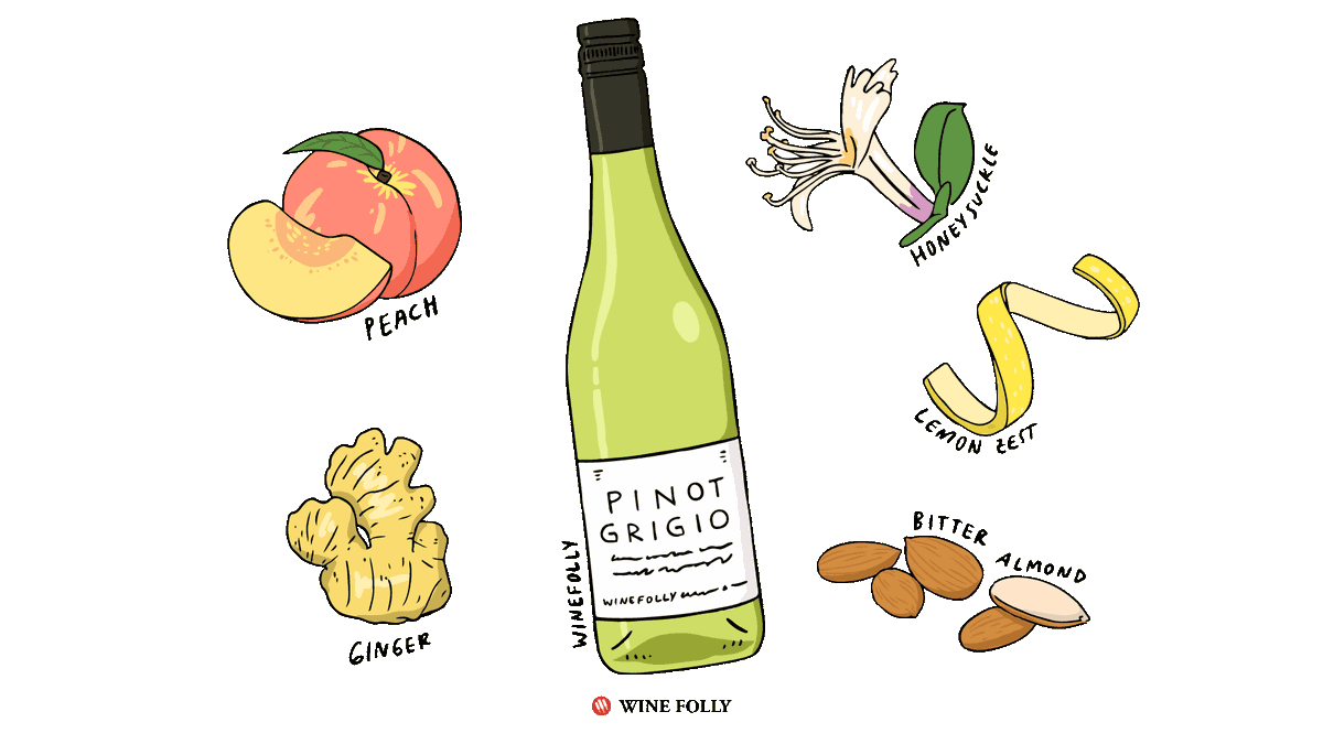 Flavors in Pinot Grigio #WiningHourChat 

Photo credit: <a href="/WineFolly/">Wine Folly</a>