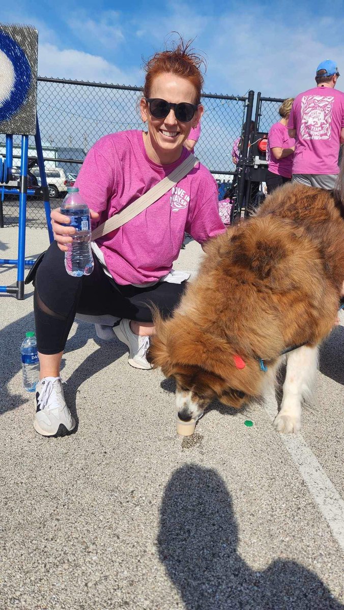 TheWAC's tweet photo. Throwback TUESDAY to some of our wonderful furry friends from Move in May! We couldn't get pictures of all of them but we loved every single one of them! Can't wait until next time! 

#MoveinMay5K #WisconsinAthleticClub #WACSummer #WACMoveinMay5K https://t.co/ixlCWcTP3y