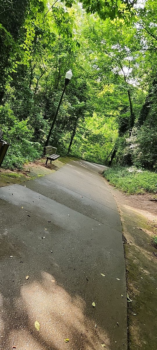 AustSwin98's tweet image. Public trails really are one of man's greatest creations.