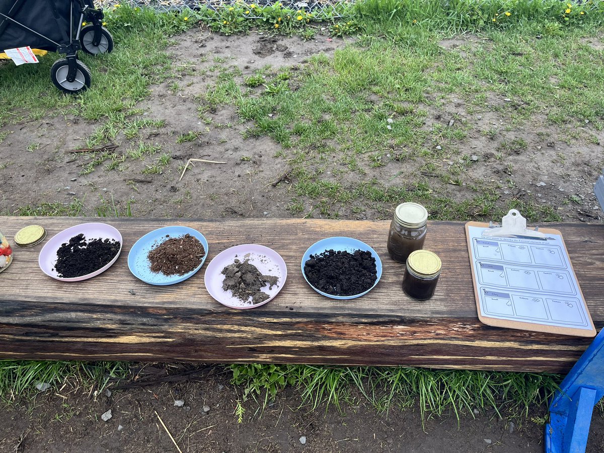 Such great learning about soils with @GUOottawa! @StBenedictOCSB Gr K4, 4 & 6 explored what makes a healthy soil. Impact of soil on the environment, composition & characteristics. Asses the environmental impact on chemical changes. @ocsbEco #ocsbscience #ocsb