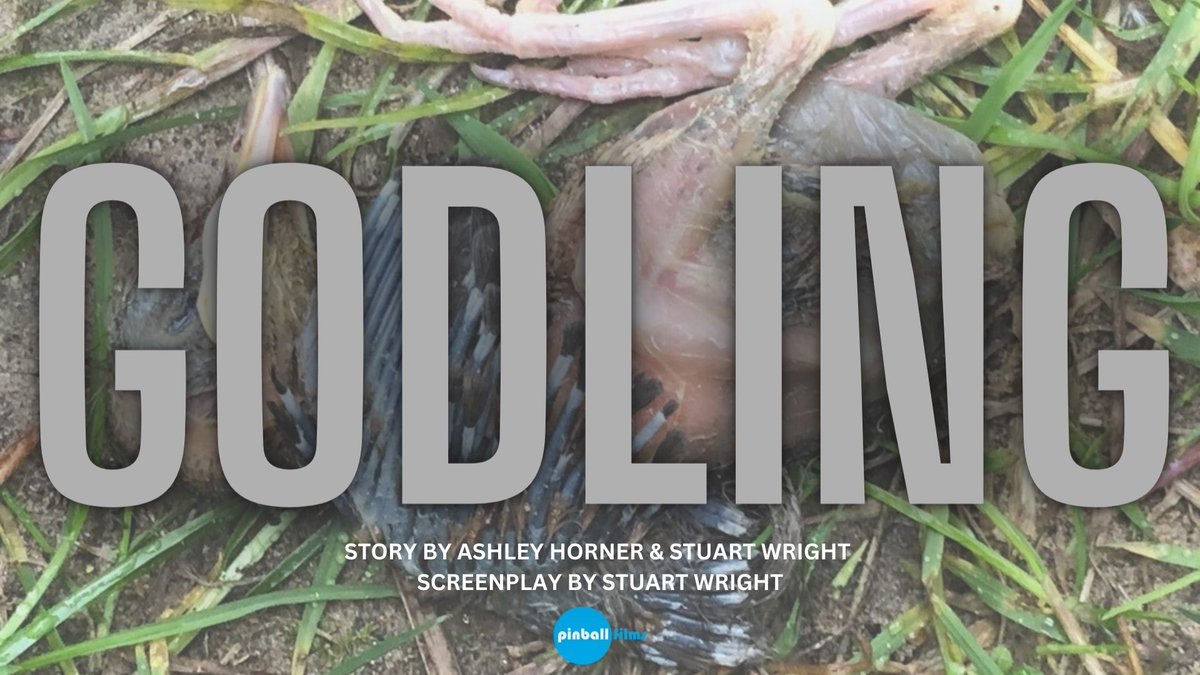 Happy days for Pinball Films... 

Our folk horror/sci-fi of script - GODLING - has been selected for 2024's <a href="/EuropeanGenre/">European Genre Forum</a> 

Super excited to go to Zagreb for the first time in my life 
europeangenreforum.com/projects-2024/