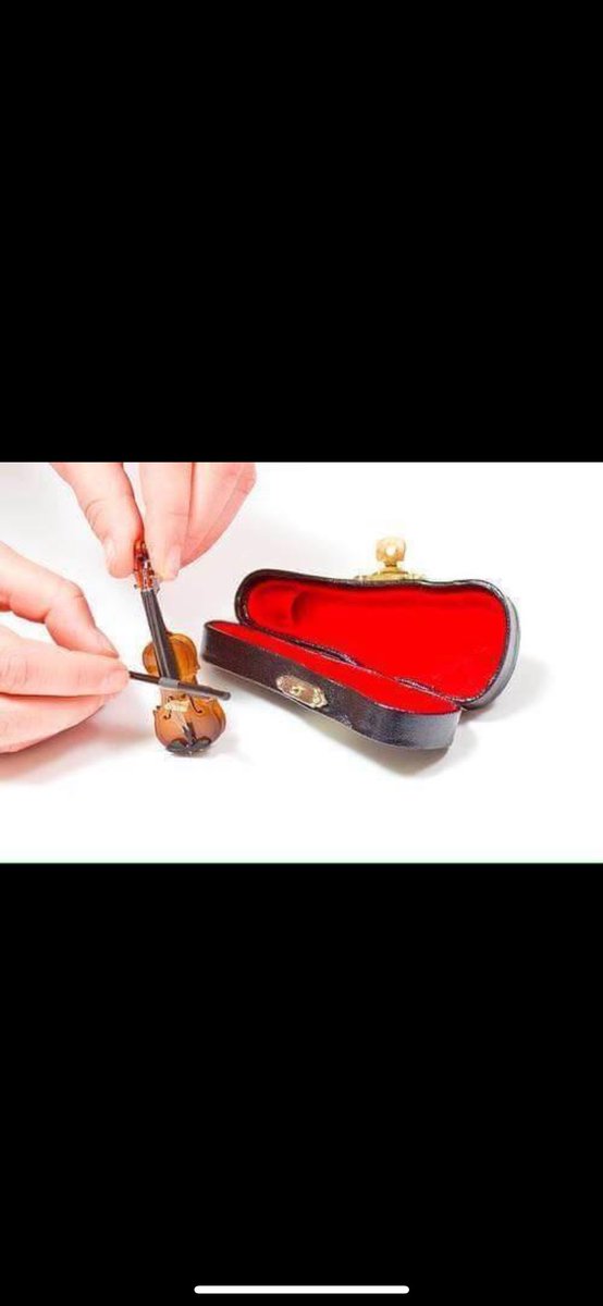 @MikeJohnson here is your tiny Violin to play alongside your lies today @xXxJ0DIExXx @DontCallMeDebby @dwilliams1210 @funder @RpsAgainstTrump @MisterResiste12
