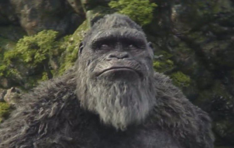 Anyways Kong is the better comfort character than that bitchass moth