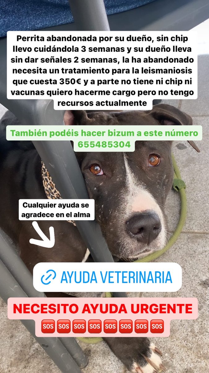 gofund.me/7e05fae1 cualquier ayuda o difusión se agradece en el alma la han abandonado y kiero hacerme cargo pero estoy sin recursos disfundid porfa 🥺♥️